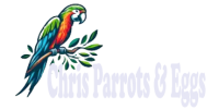 Chris Parrots and Eggs